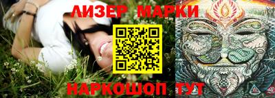 стафф Кимры