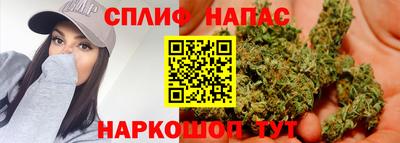 стафф Кимры